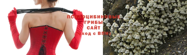 дмт Кодинск